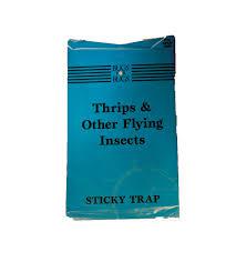 Blue Sticky