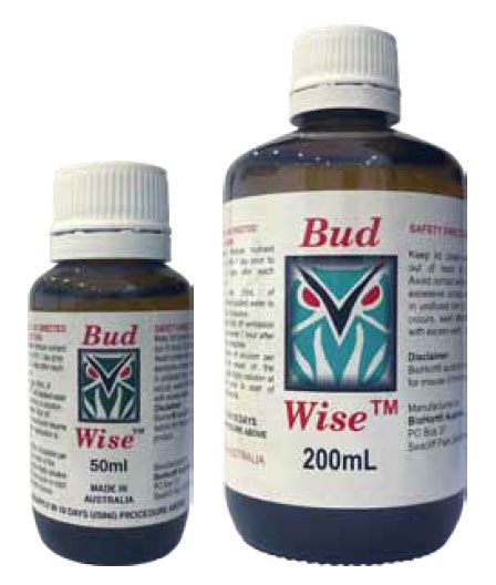 BudWise