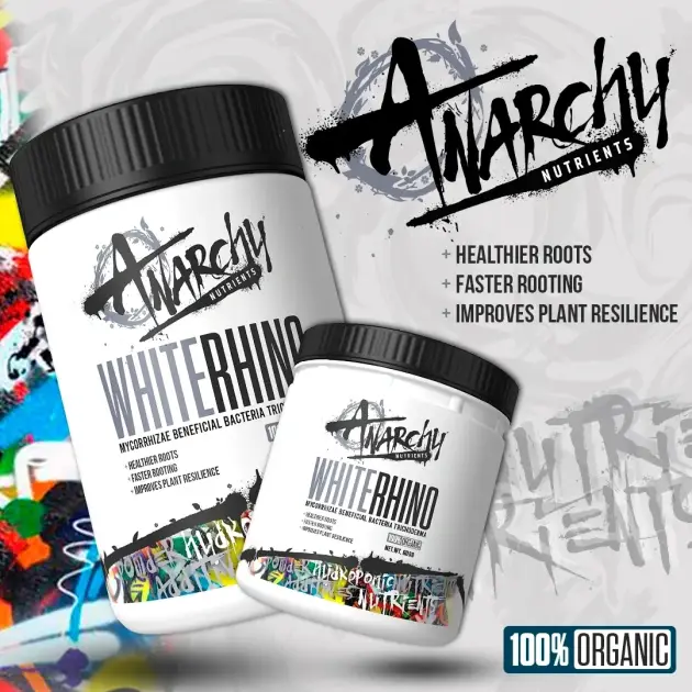 White Rhino